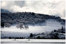 Royalty Free Stock Image: Emigrant Lake in Winter 6