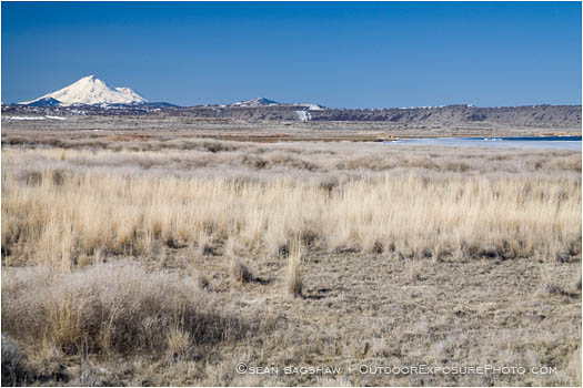 Royalty Free Stock Image: Lower Klamath Wildlife Refuge 4