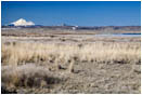 Lower Klamath Wildlife Refuge 4 Stock Image,