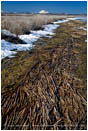 Lower Klamath Wildlife Refuge 6 Stock Image,