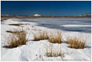 Lower Klamath Wildlife Refuge 7 Stock Image,