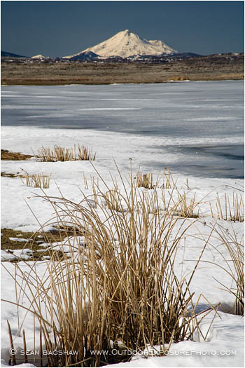 Royalty Free Stock Image: Lower Klamath Wildlife Refuge 8