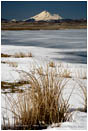 Lower Klamath Wildlife Refuge 8 Stock Image,