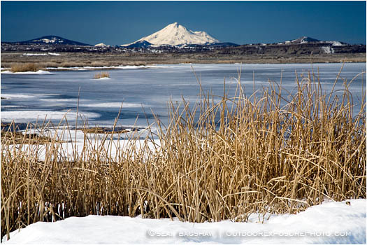 Royalty Free Stock Image: Lower Klamath Wildlife Refuge 9