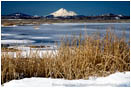 Lower Klamath Wildlife Refuge 9 Stock Image,