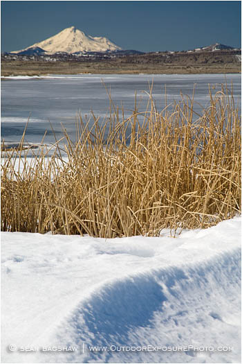 Royalty Free Stock Image: Lower Klamath Wildlife Refuge 10