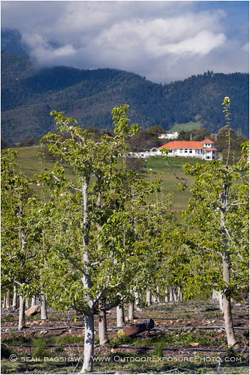Royalty Free Stock Image: Rogue Valley in Spring 1