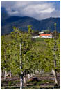Royalty Free Stock Image: Rogue Valley in Spring 1