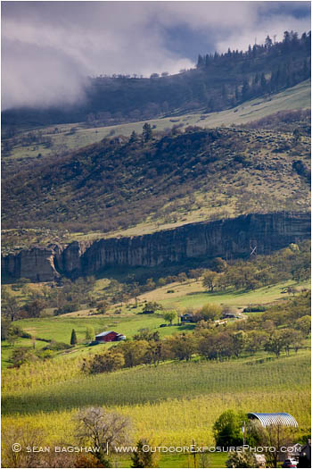 Rogue Valley in Spring 5 Stock Image,