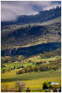 Royalty Free Stock Image: Rogue Valley in Spring 5