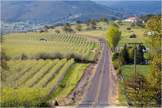 Royalty Free Stock Image: Rogue Valley in Spring 6