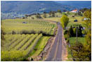 Royalty Free Stock Image: Rogue Valley in Spring 6