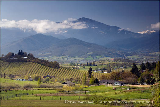 Royalty Free Stock Image: Rogue Valley in Spring 7