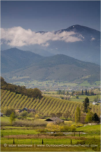 Royalty Free Stock Image: Rogue Valley in Spring 8