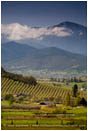 Royalty Free Stock Image: Rogue Valley in Spring 8