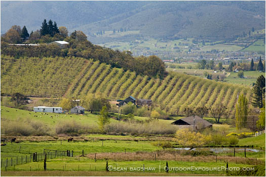 Royalty Free Stock Image: Rogue Valley in Spring 9