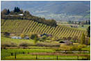 Royalty Free Stock Image: Rogue Valley in Spring 9