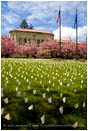 Royalty Free Stock Image: Iraq War Memorial 3