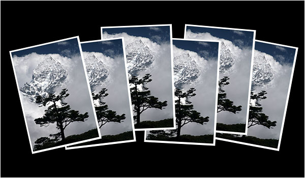 Greeting Cards: Thamserku and Tree