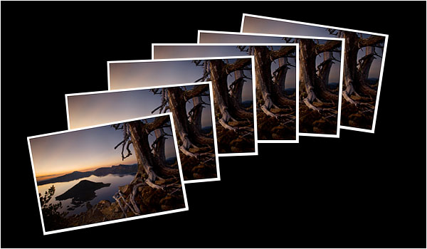 Greeting Cards: Standing Watch