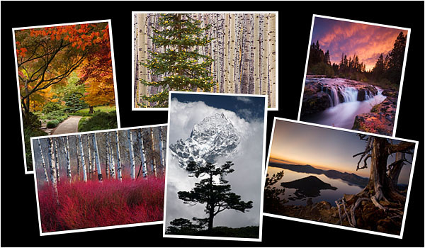 Greeting Cards: Assorted Scenics