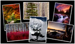 Greeting Cards: Assorted Scenics