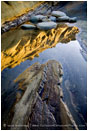 Study of Rock, Water and Light Stock Image, Oregon Coast