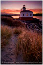 Jetty Walk Print, Bandon, Oregon