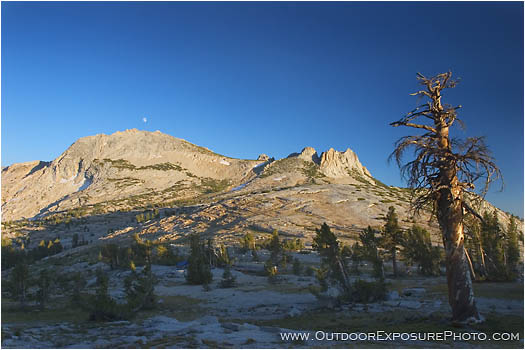 Royalty Free Stock Photo: Sierra Moonrise