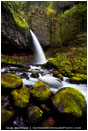 Pony Tail Falls Print, Columbia Gorge, Oregon
