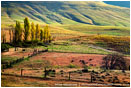 Dalles Mountain Ranch Print, Columbia Gorge, Washington