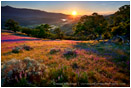 Greensprings Sunset Print, Ashland, Oregon