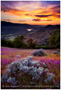 Greensprings Sunset III Print, Ashland, Oregon