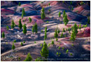 Cool World Print, Lassen National Park, California