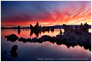 Dawn Fire at Mono Lake Stock Image, Mono Lake, California