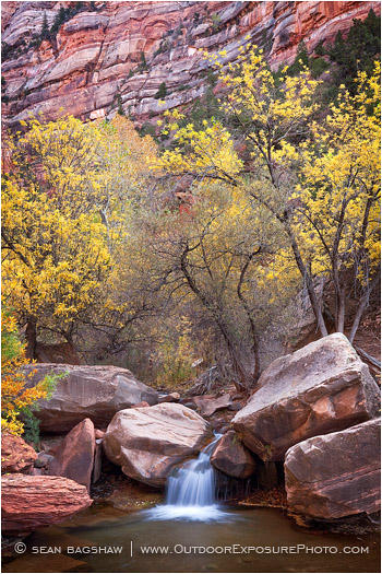 Left Fork Fall Print, Zion, Utah