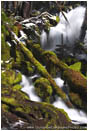 Royalty Free Stock Photo: Clear Water Creek Falls