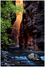 Light In The Narrows Print, Zion, Utah 