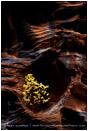 Story In Stone II Print, Zion, Utah