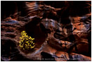 Story In Stone Print, Zion, Utah