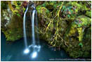 Print: North Umpqua Above Toketee III