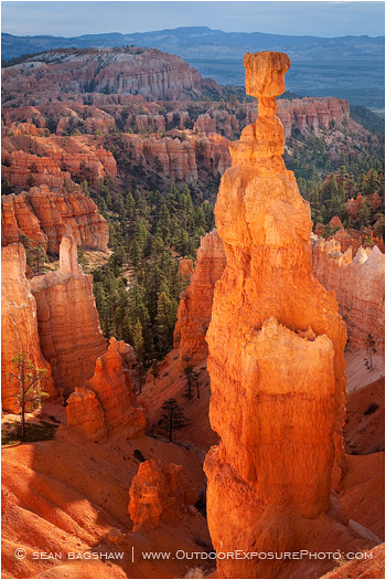 Thor's Hammer Print, Bryce Canyon, Utah