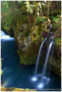 Royalty Free Stock Photo: North Umpqua Above Toketee IV