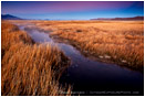 Borax Springs Stock Image, Alvord Desert, Oregon