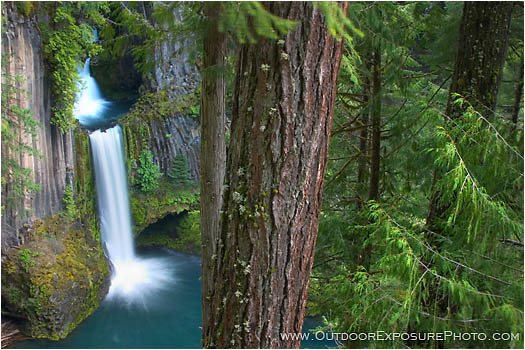 Rights Managed Stock Photo: Toketee Falls