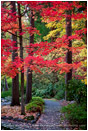Autumn Park Print, Ashland, Oregon