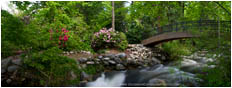 Ashland Creek Panorama Print, Ashland, Oregon