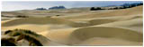Oregon Dunes Panorama Stock Image, Oregon Coast
