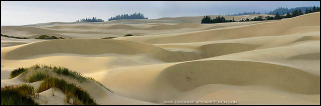 Oregon Dunes Panorama Print, Oregon Coast
