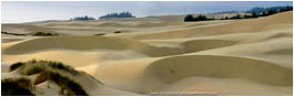 Oregon Dunes Panorama Print, Oregon Coast